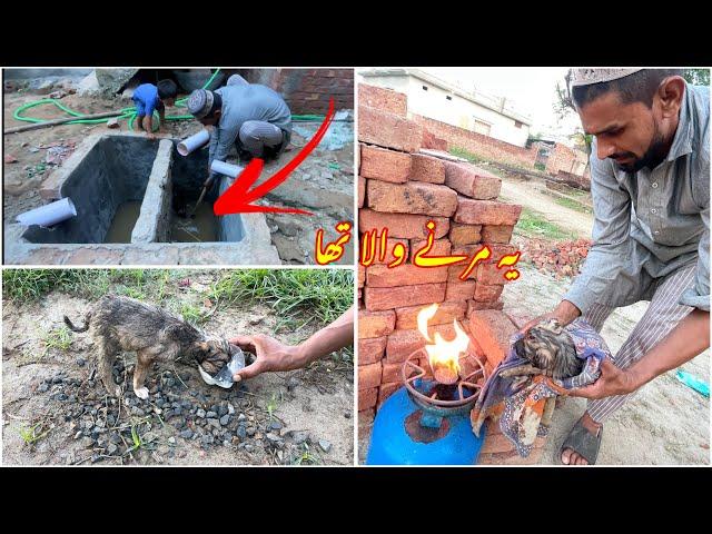 Dog almost died  Dog ko New Zindgi milli