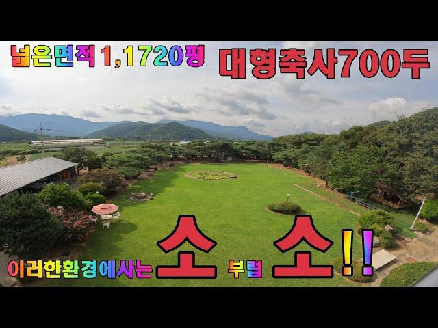 [P358]청도땅매매~~11,723평의넓은면적!뭇할게머있겠습니까??