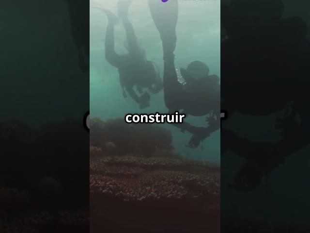 ¿Y Si Viviéramos en ATLANTIS?️ La Vida Bajo el Agua #shorts  #atlanta #curiosidades #viralreels