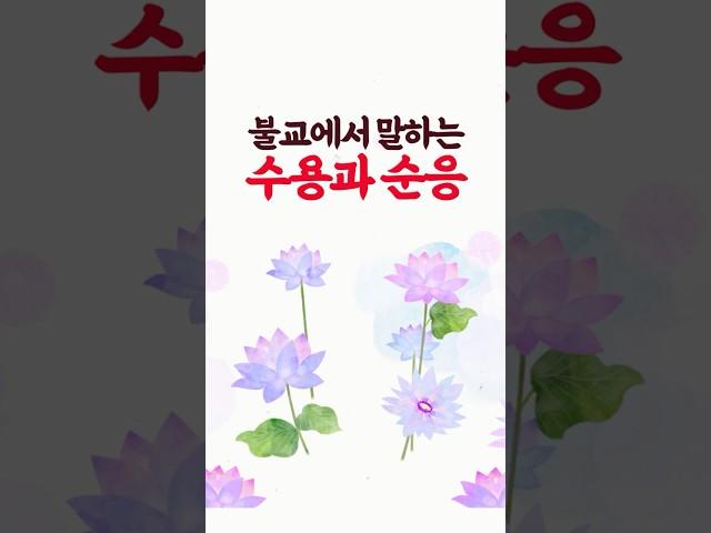 불교에서 말하는 수용과 순응에 대하여