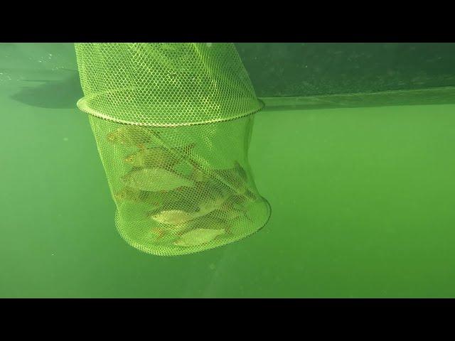 Рибалка Яворівське озеро