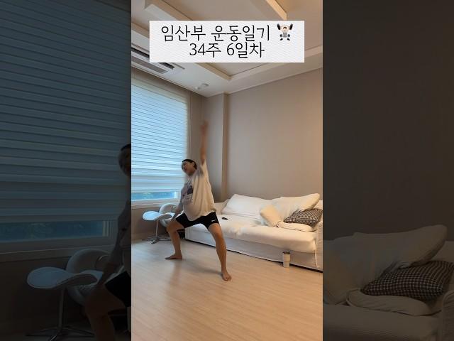 집에서 혼자서도 바쁜 임산부 #임산부브이로그 #임산부운동 #shortvideo