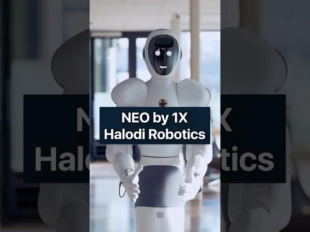 NEO by 1X Halodi Robotics | Humanoid robot technology | Pro Robots