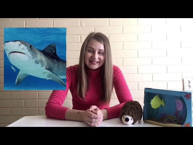 Підводний світ 