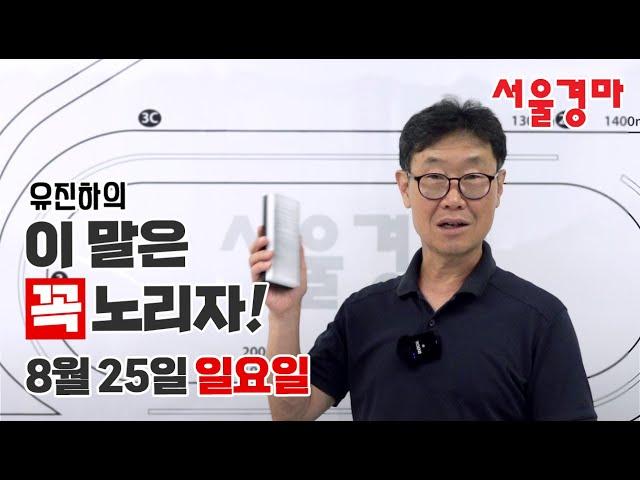 유진하의 이 말은 꼭 노리자!(2024년 8월 25일 일요일)