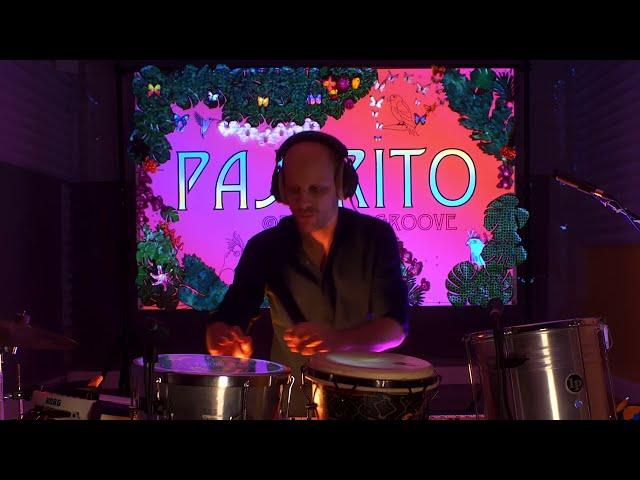 PAJARITO MUNDO - SELVA (Studio live recording)