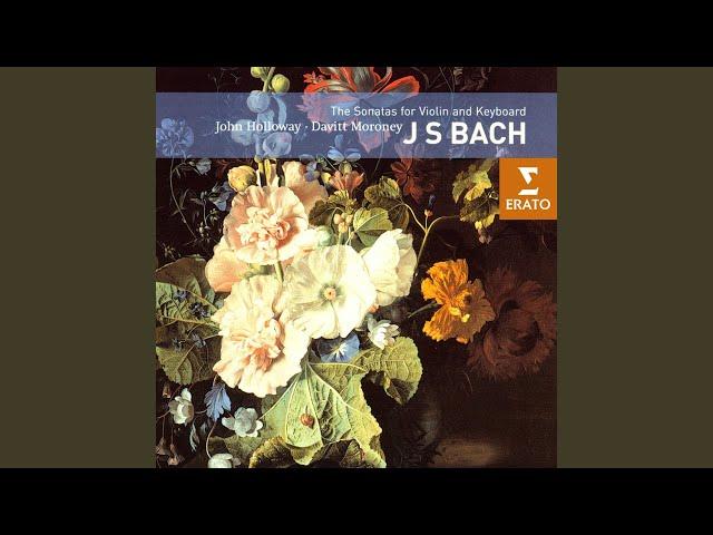 Violin Sonata No. 4 in C Minor, BWV 1017: I. Siciliano. Largo
