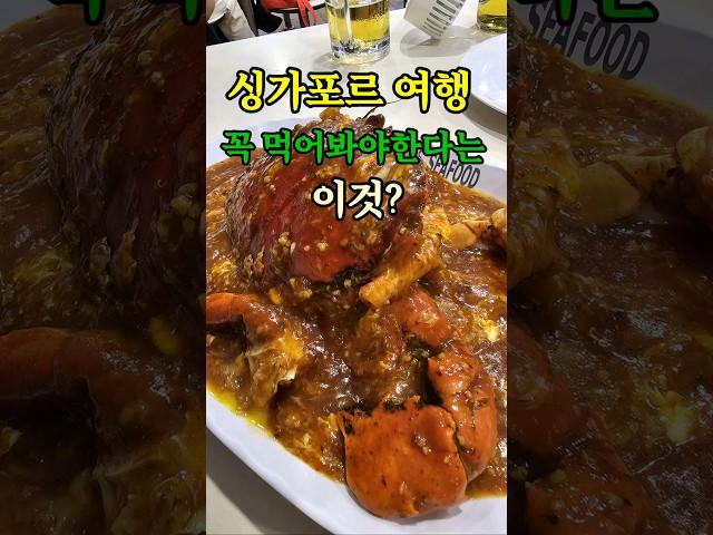 싱가포르 여행시 꼭 드셔보세요 #shorts