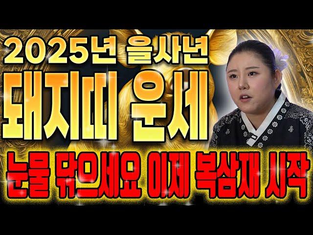 【2025년 을사년 대박 돼지띠운세】 축하드립니다! 찬바람이 불면 '금전운,대운' 들어온다 돼지띠분들 축하합니다! 돈벌준비 하세요! 59년생 71년생 83년생 95년생 돼지띠운세