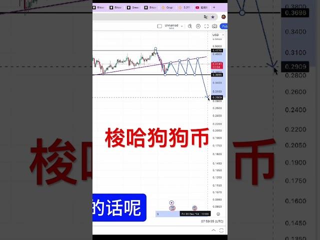 DOGECOIN 狗狗币第二波爆发进入倒计时！赶紧埋伏起来 坐等爆发！USDT发行 1,000,000,000美元 准备上车狗狗币？2017年暴涨97倍 2021年暴涨665倍 改变命运全靠DOGE