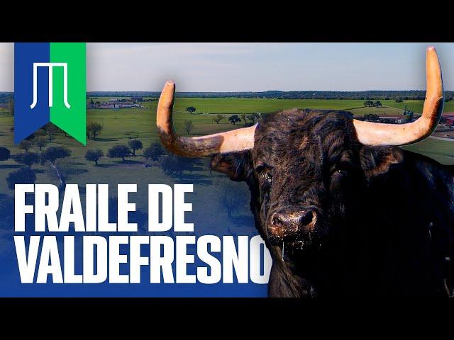 GANADERIA FRAILE DE VALDEFRESNO | TOROS 2023