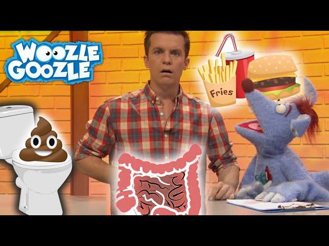 Was macht der Magen mit dem Essen? l WOOZLE GOOZLE