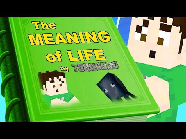 THE MEANING OF LIFE