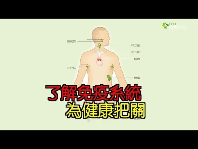 了解免疫系統 為健康把關