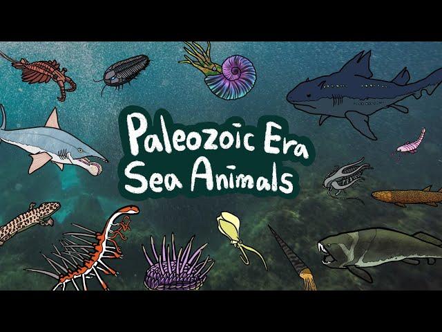 Paleozoic Sea Animals | What kind of sea animals lived in Paleozoic Era? | Kids Draw