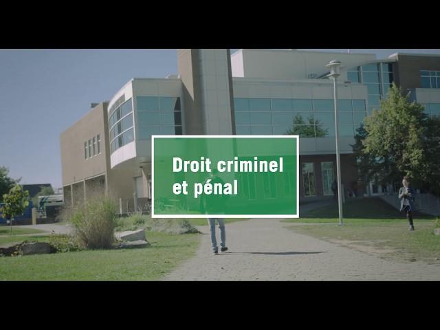 Maîtrise en pratique du droit criminel et pénal