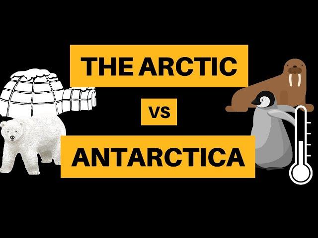 The Arctic vs Antarctica [9 Similarities + Differences]