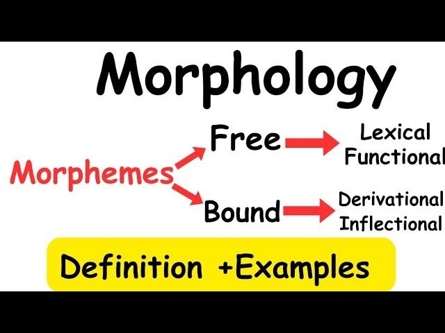 Morphology|Morpheme|Types of morpheme#linguistics