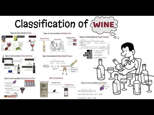 Wine and its classification/ Different Types of wine/Alcoholic beverages/Sparkling wine