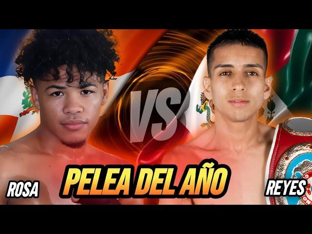  Mini Pacman ️ Yudel Reyes  HIGHLIGHTS WAR HD  #boxing #boxeo