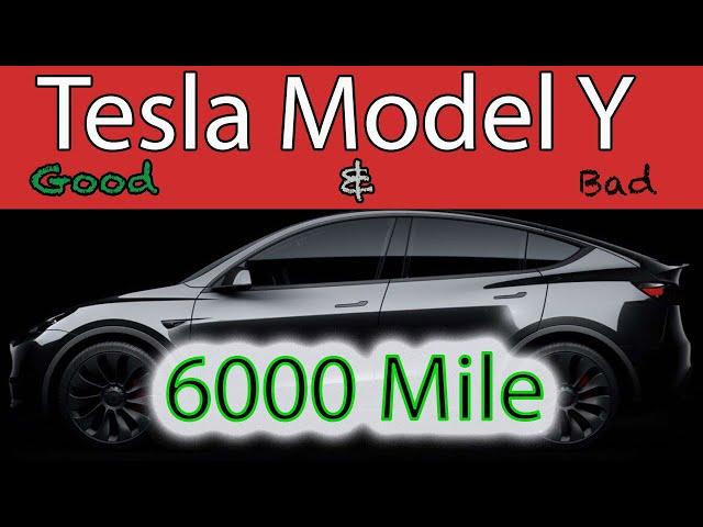 Tesla Model Y Honest Review after 6 months - 6000 miles Good and the Really Bad