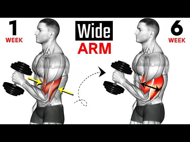 Full Arms Exercises with Dumbbells ( Biceps and Triceps ) 