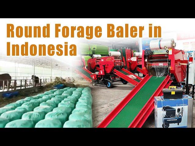 Silage Baling Plant in Indonesia with Taizy's Automatic Baler Machine