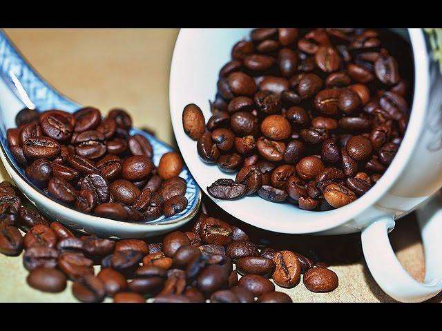 How to Grow your own Coffee