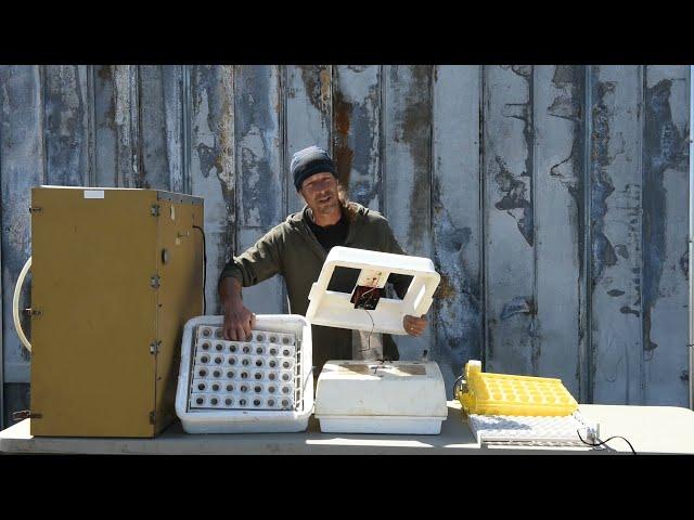 Cabinet incubators, Styrofoam incubators What we use, How we improve hatch rate GQF incubator