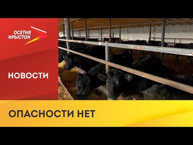 Поголовье крупного рогатого скота с диагнозом «лейкоз» ликвидировано