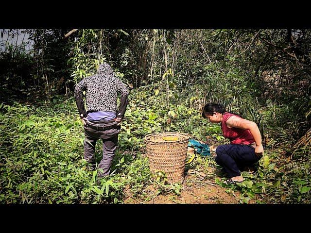 FULL VIDEO || 15 ngày một mình vào trong rừng sâu, thu hoạch lâm sản phụ,bắt cá đem chợ bán