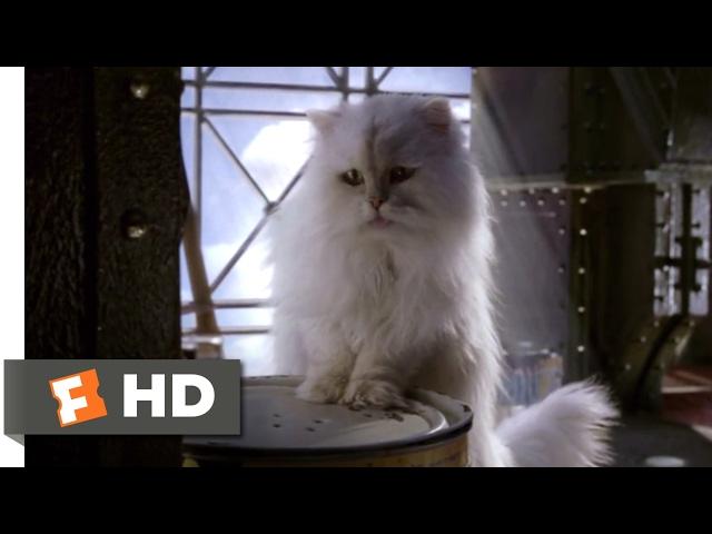 Stuart Little 2 (2002) - In the Can Scene (7/10) | Movieclips