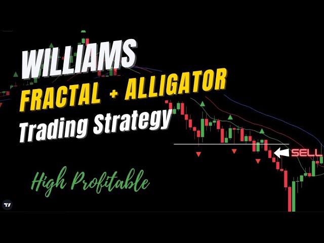 High Profitable Williams Fractal & Alligator Trading Strategy