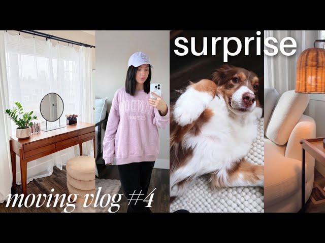 surprise! adoption story, makeup organization + vanity setup, new furniture  MOVING VLOG ep 4
