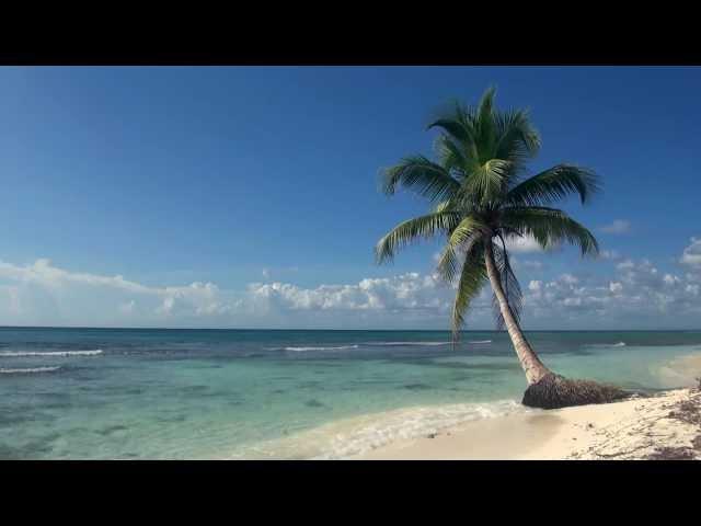 Relaxing 3 Hour Video of A Tropical Beach with Blue Sky White Sand and Palm Tree