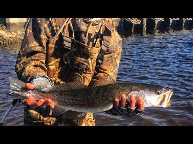 Fishing with Mirro-lures for Speckled Trout in Florida - St Marks Lighthouse