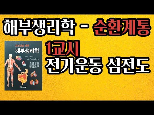 [해부생리학] 순환계통 / 전기운동, 심전도 / 쉽게 공부하기