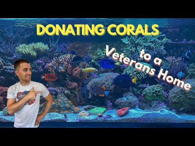 Donating Shallow Reefing Corals to a Veterans Home
