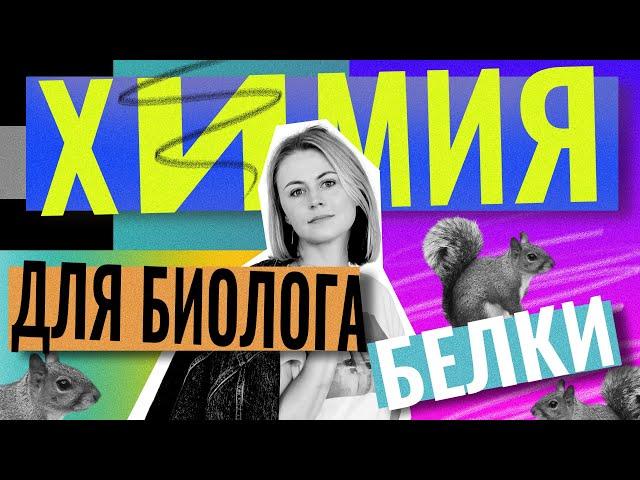 Химия для биолога. БЕЛКИ| ЕГЭ по биологии | Ксения Напольская | 100балльный репетитор