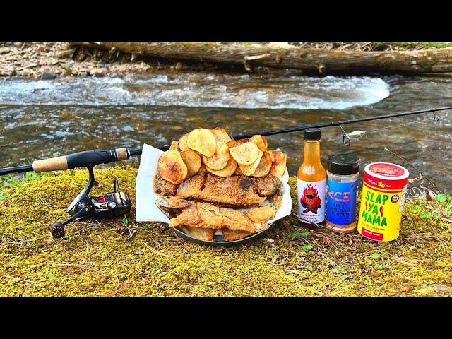 Rainbow Trout Fish n' Chips | Cookout at a Mountain Creek!