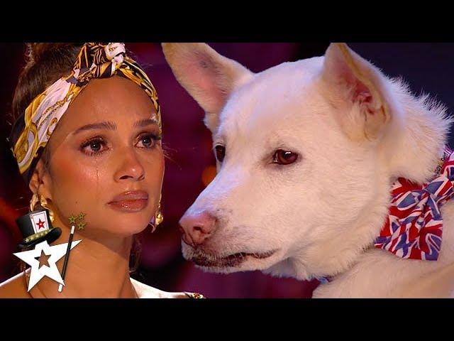 Judges Cry Over Emotional Dog Magic Act on Britain's Got Talent 2020 | Magician's Got Talent