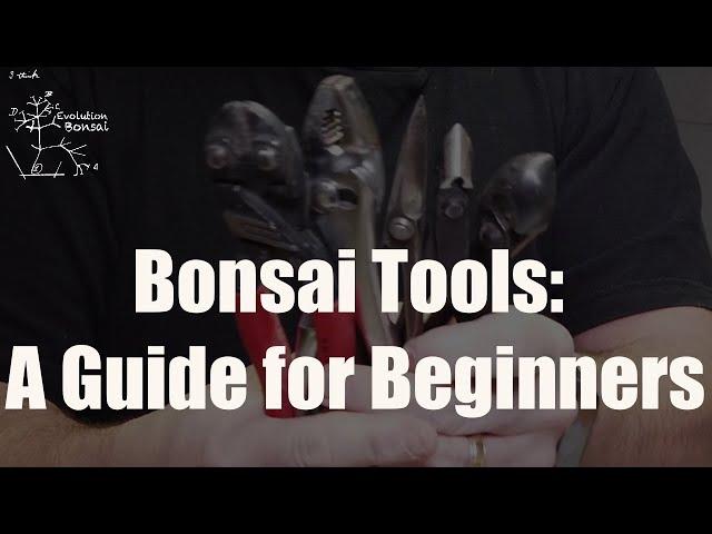 A brief tour of a Bonsai tool set