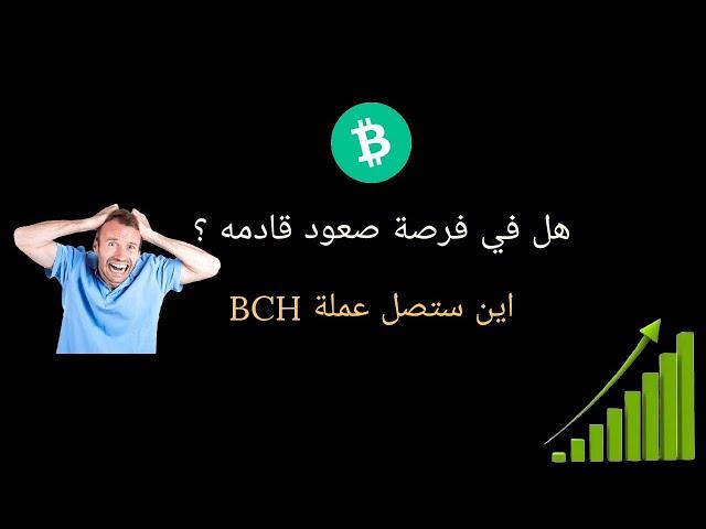 |تحليل عملة Bitcoin Cash  بتكوين كاش| هل في فرصة صعود قادمه