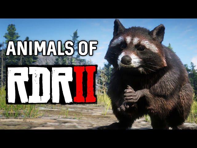 The Animals of Red Dead Redemption 2