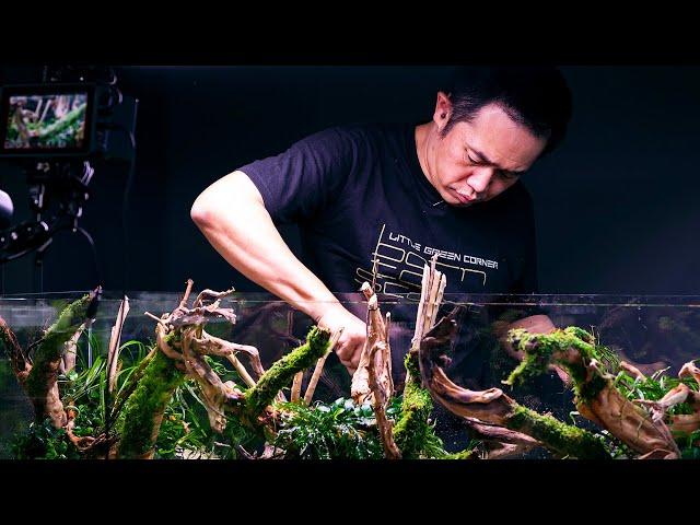 PLANTED TANK LEGENDS - 7x WORLD CHAMPION JOSH SIM WORKSHOP