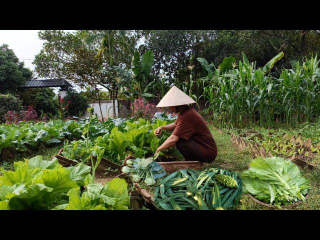 How I preserve a variety of vegetables without losing their freshness and cooking flavor