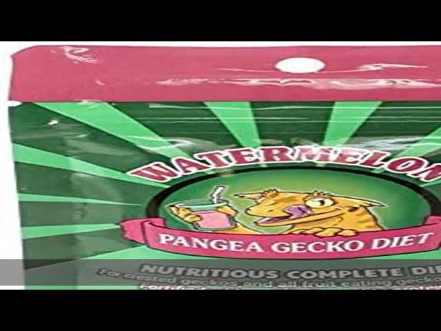 Pangea Fruit Mix Watermelon Complete Gecko Diet 2 oz, Green