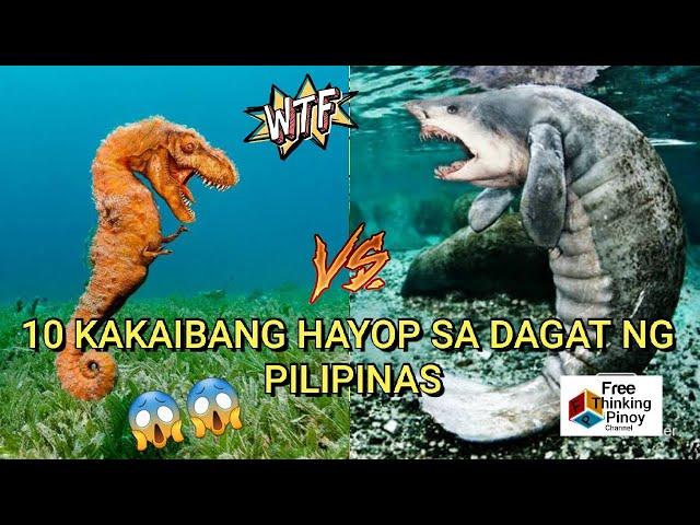 10 Kakaibang Hayop sa Dagat ng Pilipinas | 10 Strangest and weirdest sea animals in the Philippines