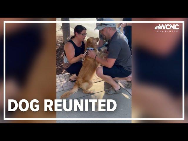 Family reunites with missing dog Lucy after months