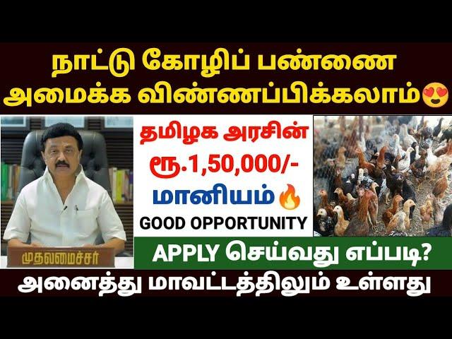 நாட்டு கோழி வளர்ப்பு திட்டம் | nattu kozhi valarpu thittam | nattu koli valarpu Scheme |naattu kozhi